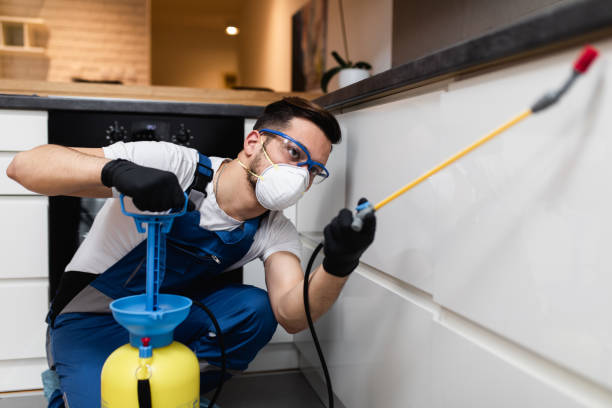 Reliable Fords Prairie, WA Pest Control Solutions