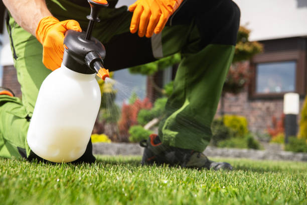 Best Wasp Removal Services  in Fords Prairie, WA