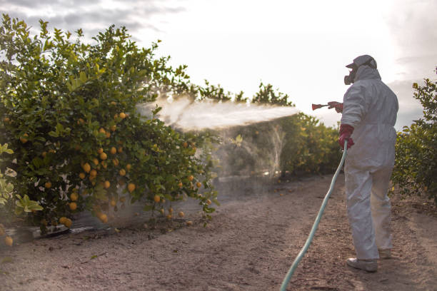 Best Flea Control Services  in Fords Prairie, WA
