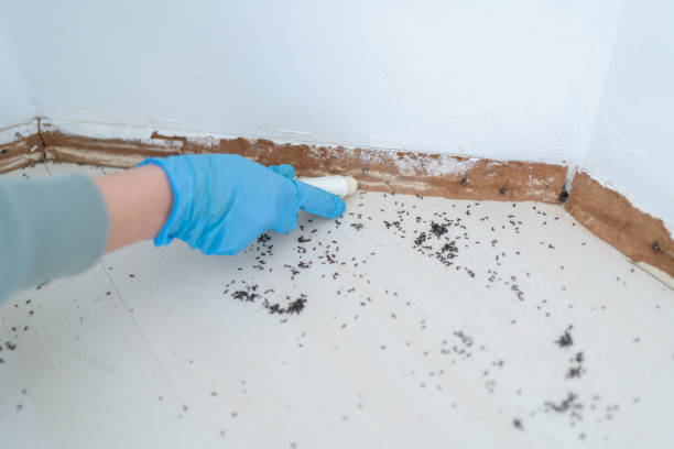 Best Best Pest Control Companies  in Fords Prairie, WA