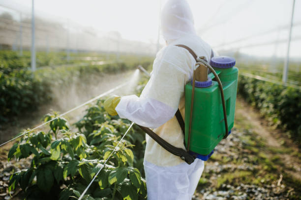 Best Commercial Pest Control Services  in Fords Prairie, WA